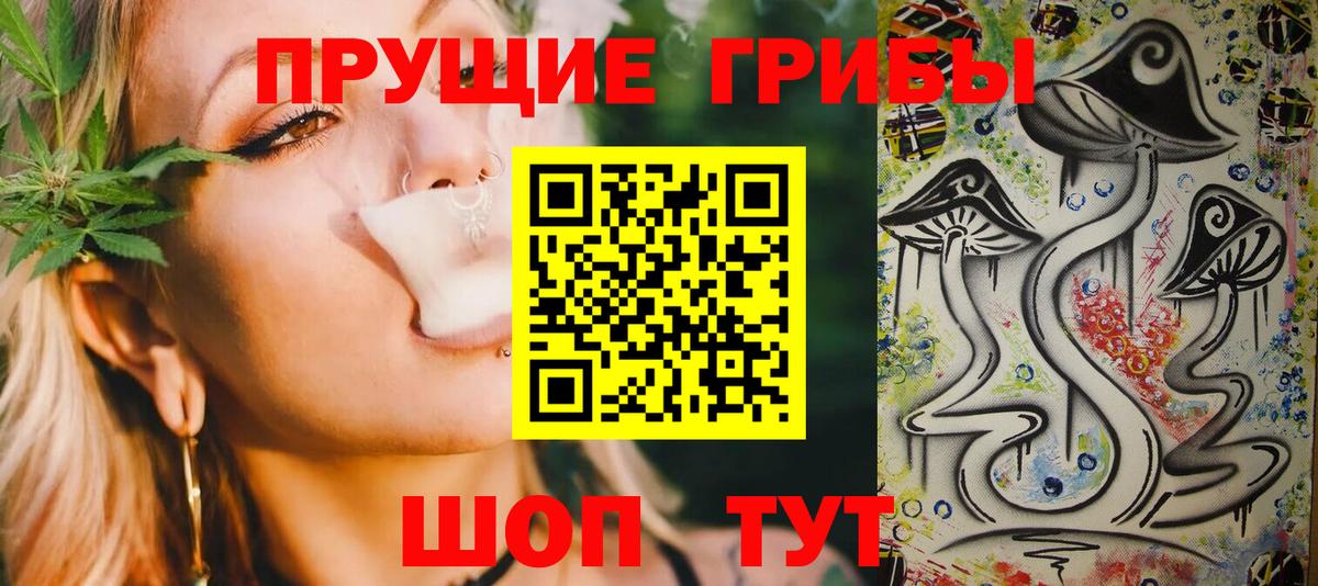 Псилоцибиновые грибы GOLDEN TEACHER  Вход с VPN  Ногинск  Галлюциногенные грибы прущие грибы 